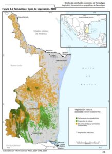 Tamaulipas: vegetación