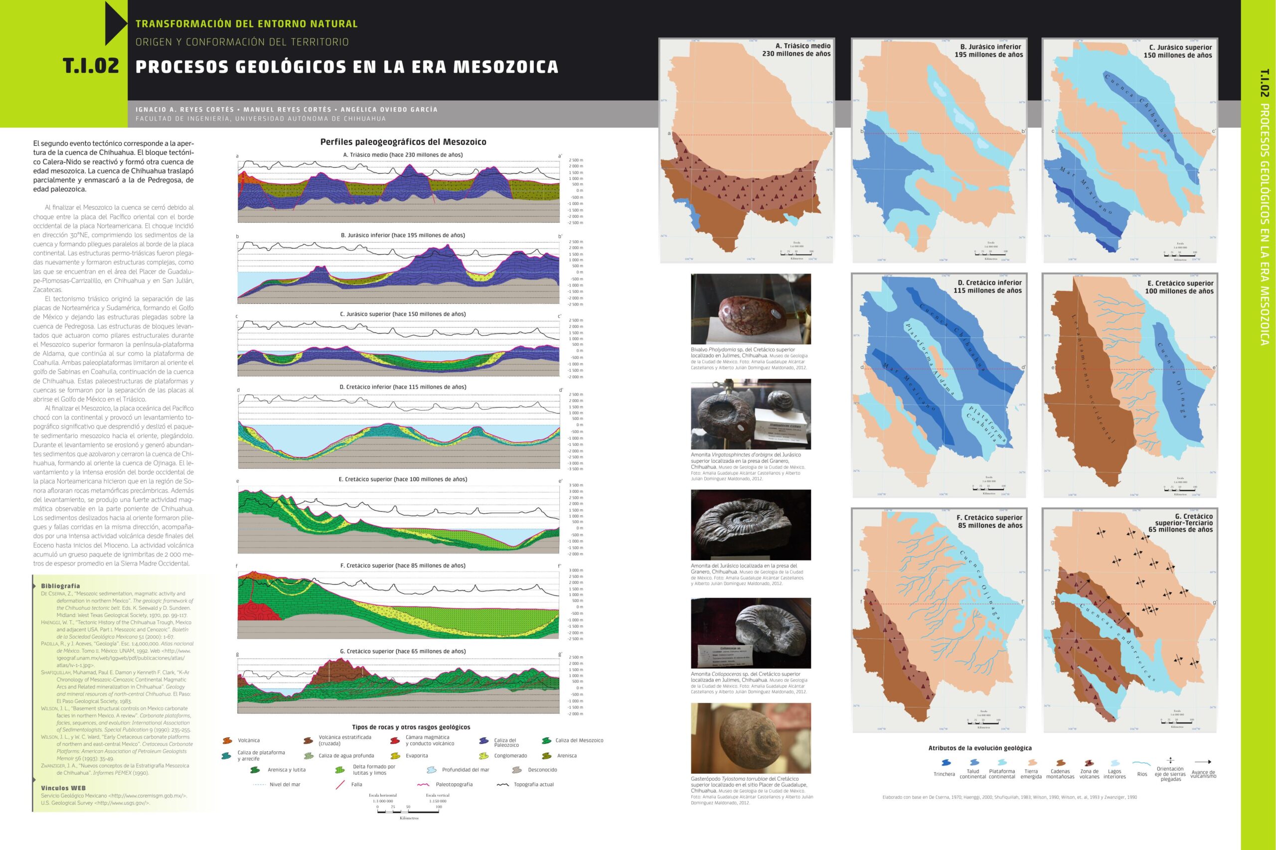 T.I.02 PROCESOS GEOLÓGICOS EN LA ERA MESOZOICA