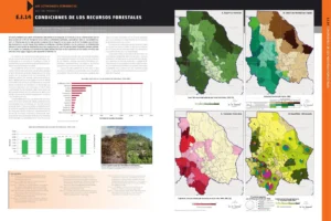 E.I.14 CONDICIONES DE LOS RECURSOS FORESTALES