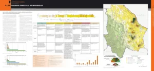 E.I.15 RECURSOS FORESTALES NO MADERABLES